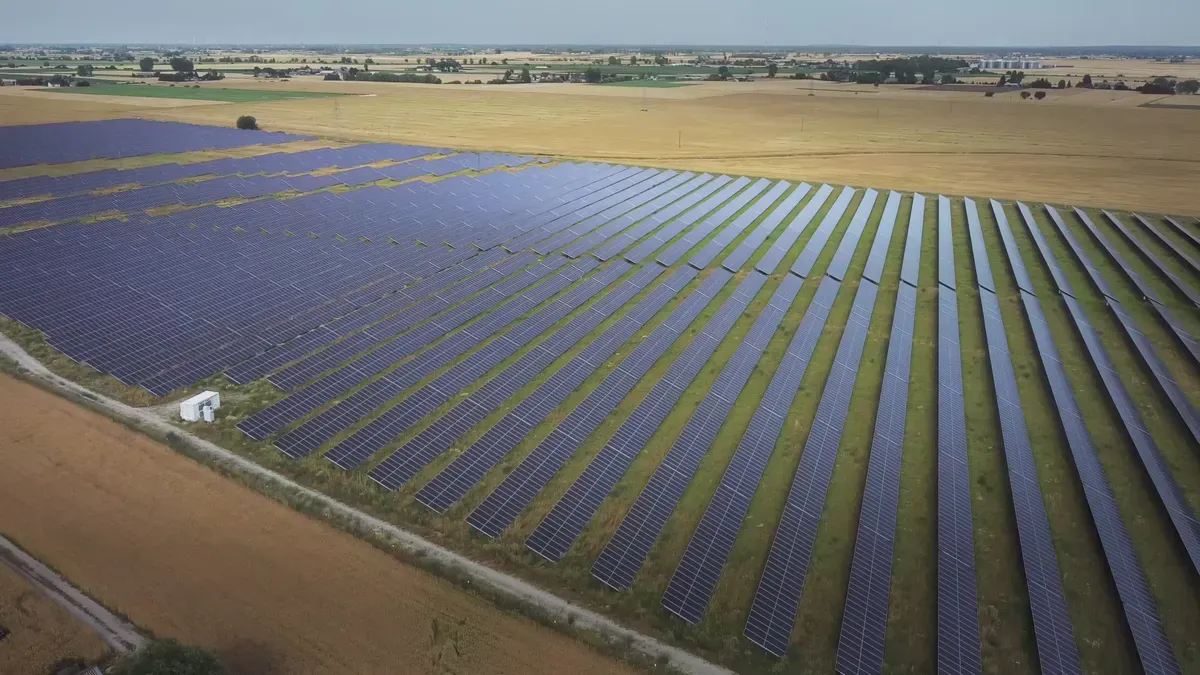 مقارنة بين موردي الألواح الشمسية: PNG Solar و JinkoSolar و LONGi